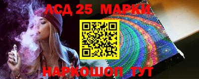 гашик Будённовск
