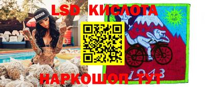гашик Будённовск