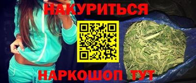 гашик Будённовск