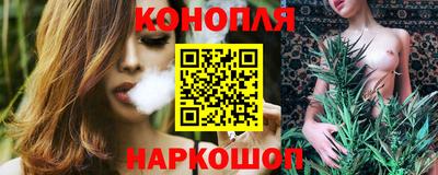 гашик Будённовск