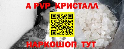 гашик Будённовск