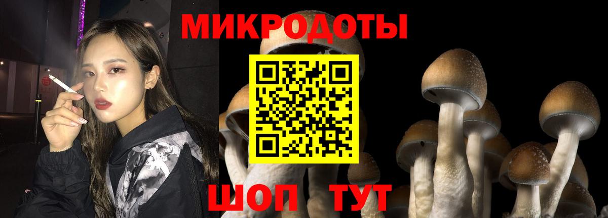 Псилоцибиновые грибы прущие грибы  Вход с VPN  Красный Сулин 